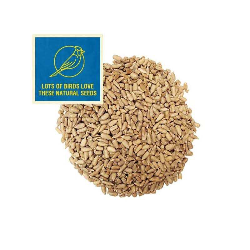 Sunflower Bird Seed A543