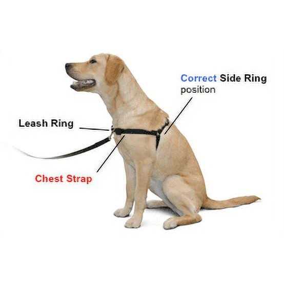No Pull Dog Harness K335802