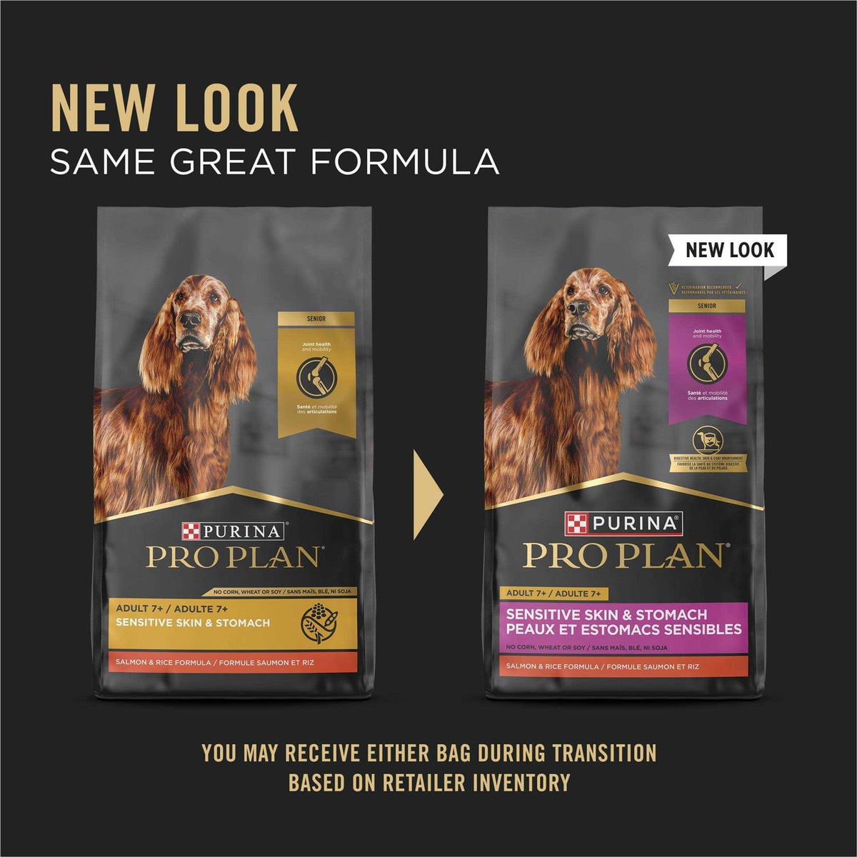 Salmon & Rice Senior Dry Dog Food U7189