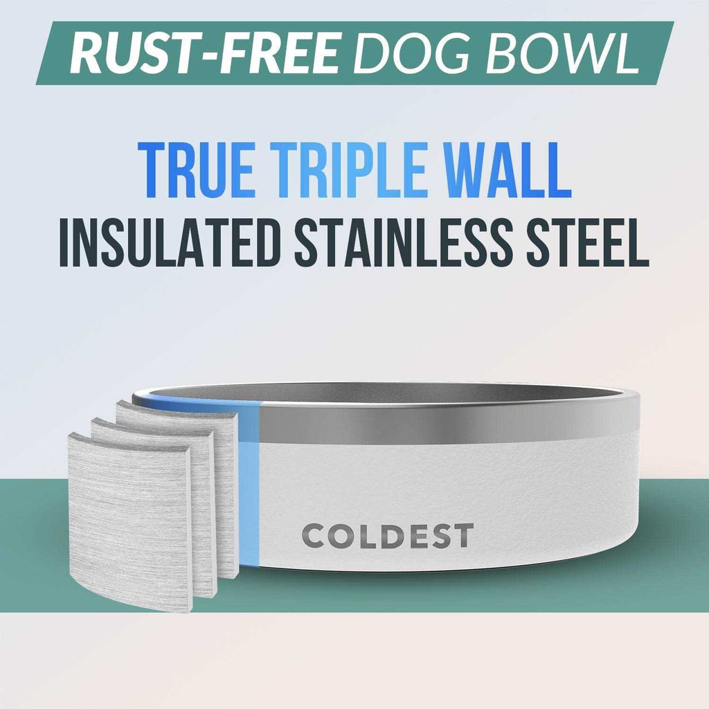 Stainless Steel Non Slip Insulated Dog Bowl N428677