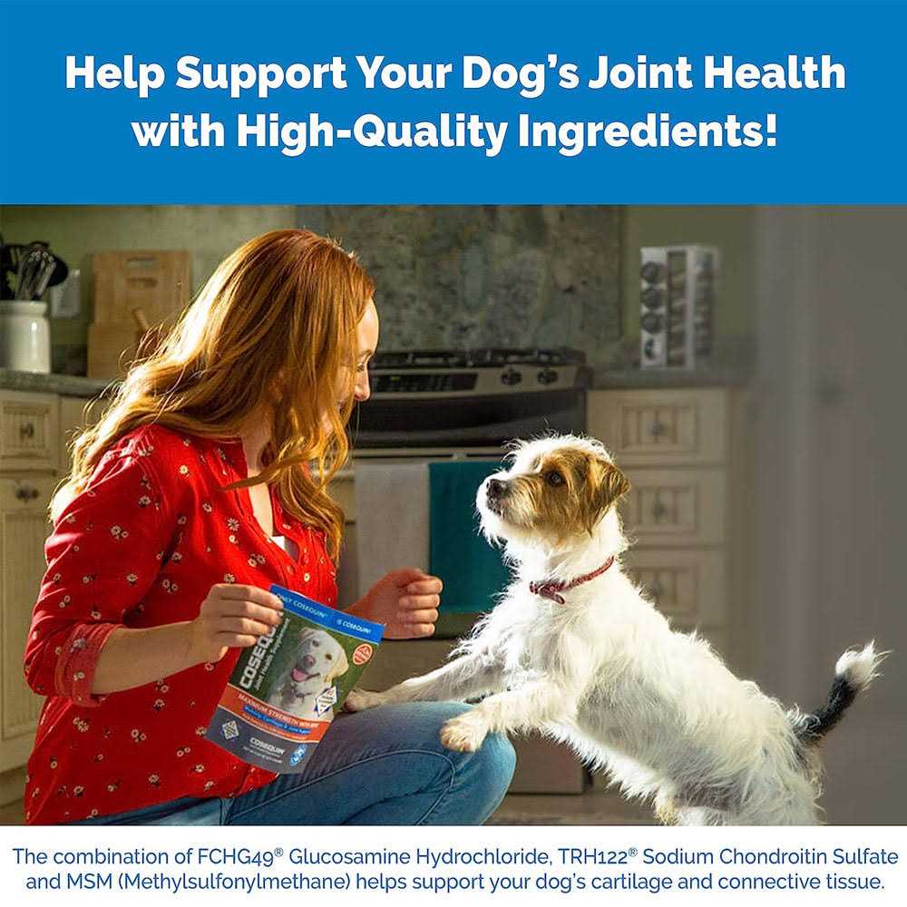 Joint Health Supplement for Senior Dogs J990