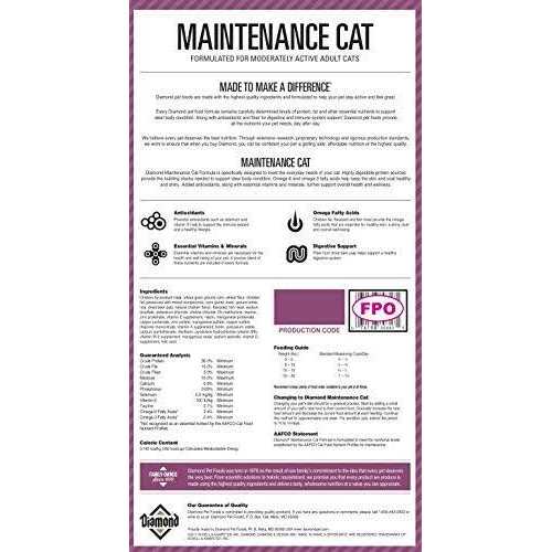 Dry Cat Food H98507
