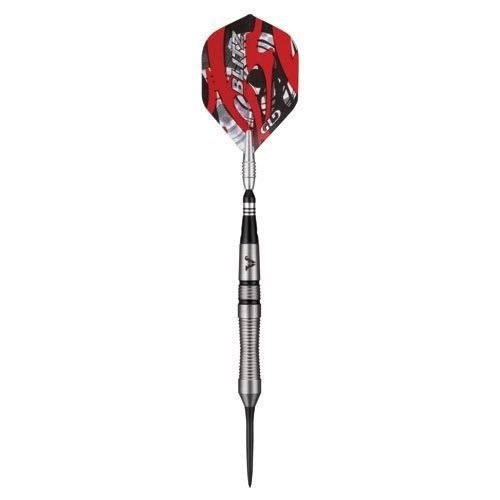 95% Tungsten Steel Tip Darts with Storage Case, 22 Grams O682