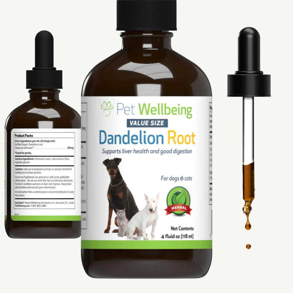 Dandelion Root Cat Liver and Digestive Support N91181