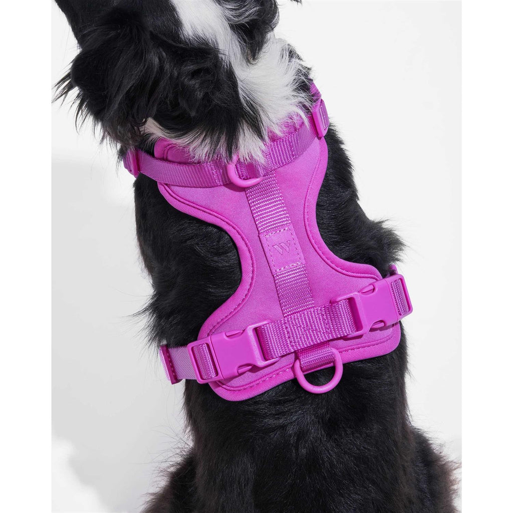 Dog Harness R349708