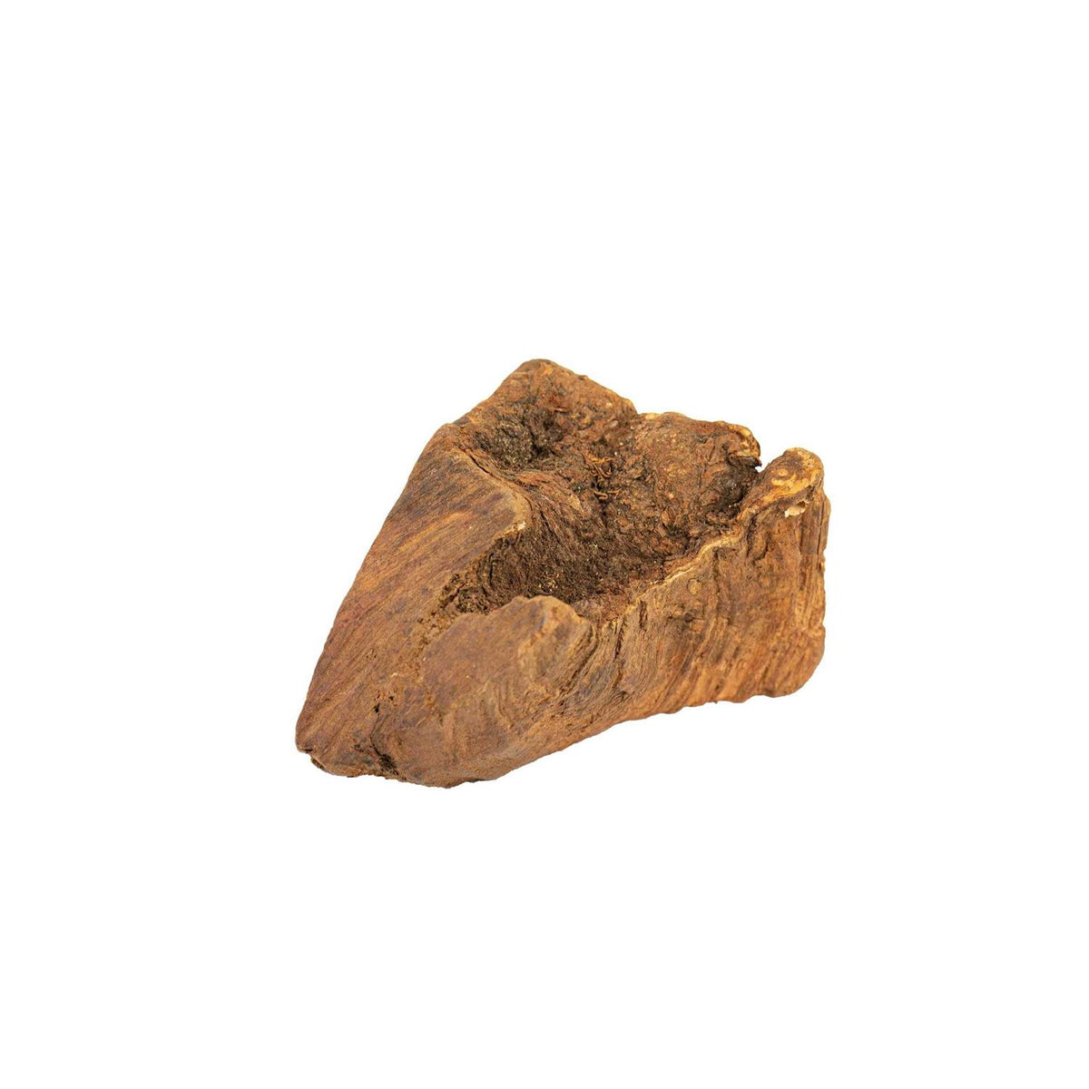Chew Root for Dogs H6165