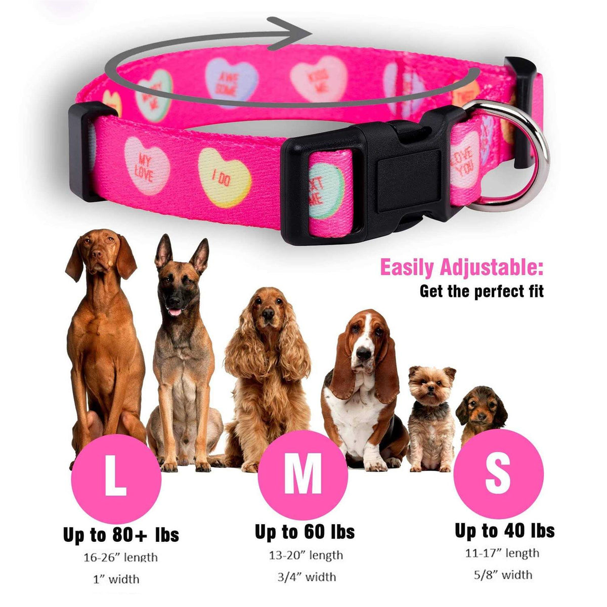 Valentines Day Heart Dog Collar K853043