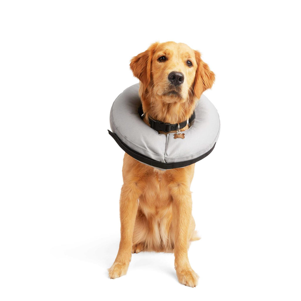 Inflatable Dog Collar U597