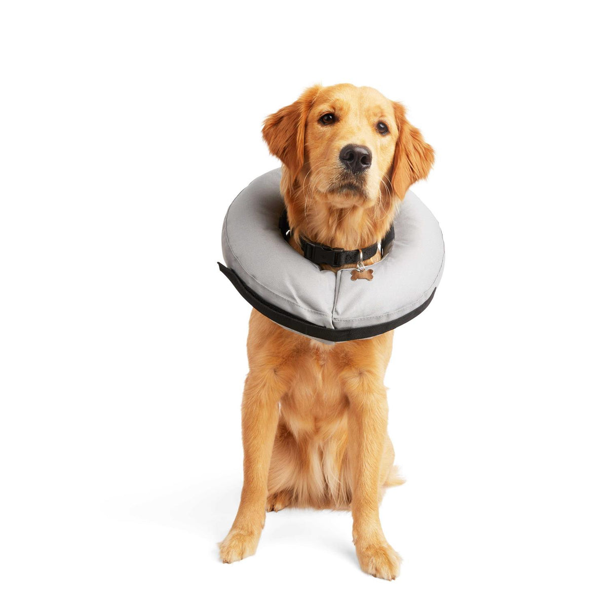 Inflatable Dog Collar U597