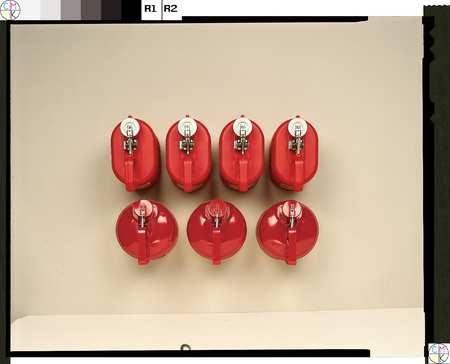 0.5 Gallon Red Polyethylene Safety Can L236424