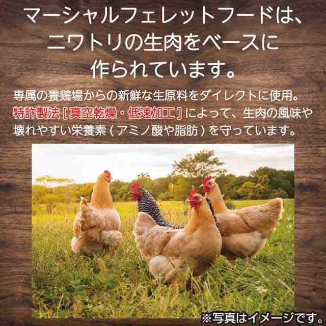 Premium Diet Q67024