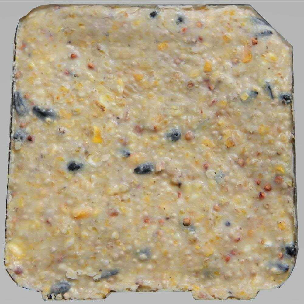 Suet Cake H431656