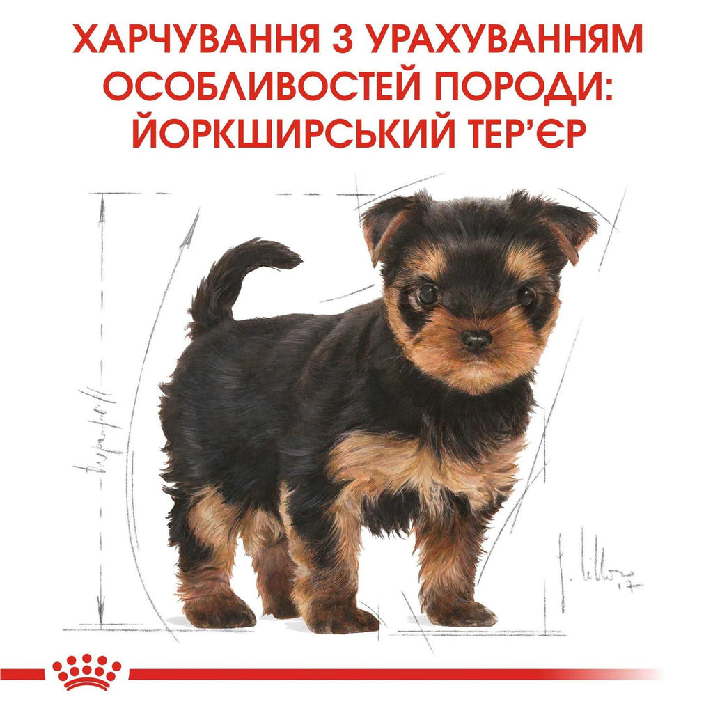 Dog Food Yorkshire Terrier Junior Dry Mix 1.5kg G49066