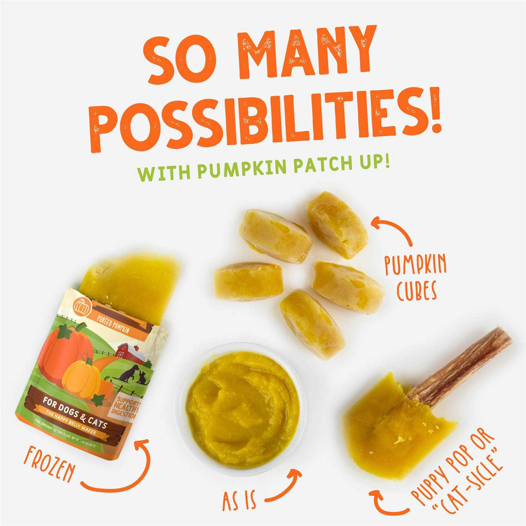 Pumpkin Patch Up B2269