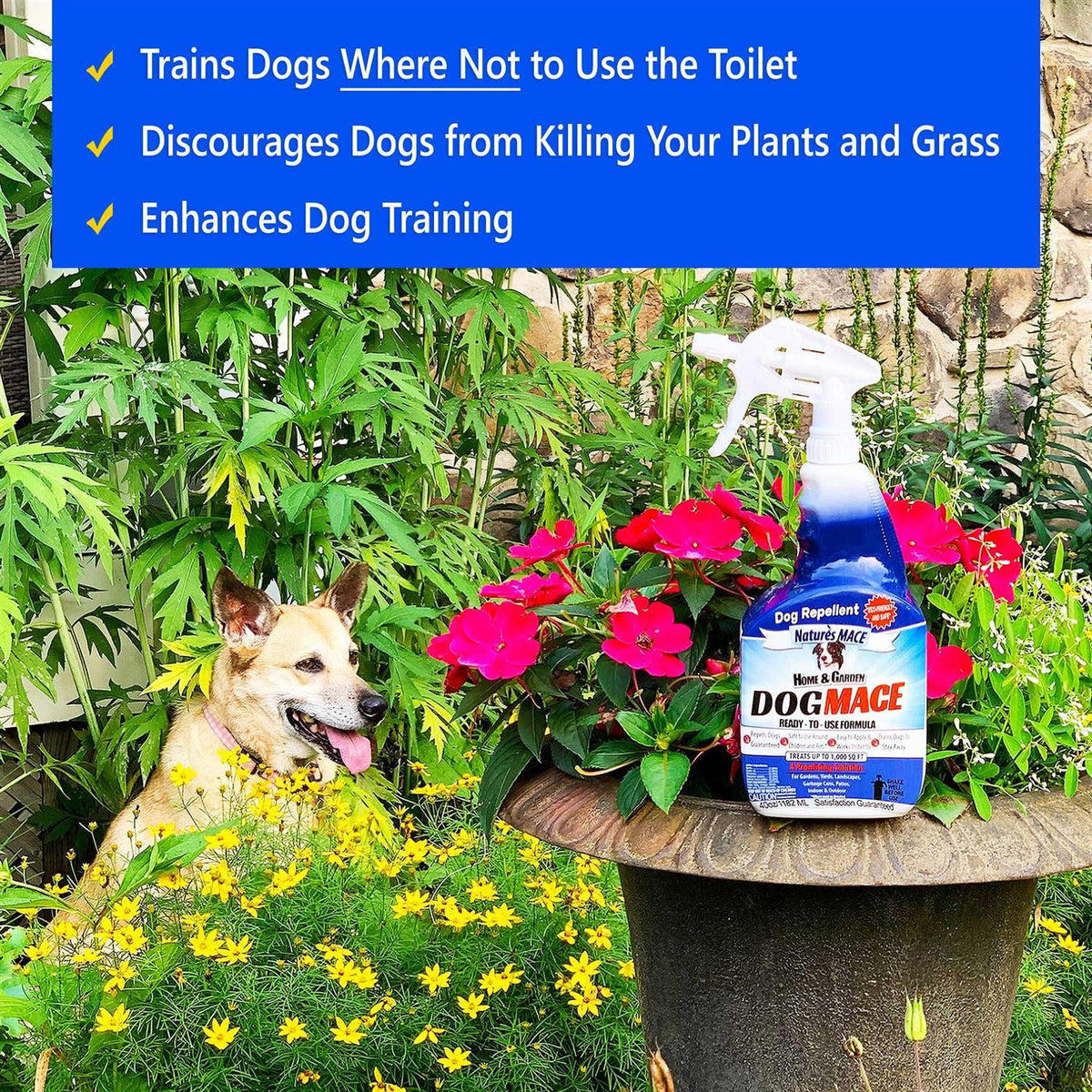 Dog Repellent Z40468