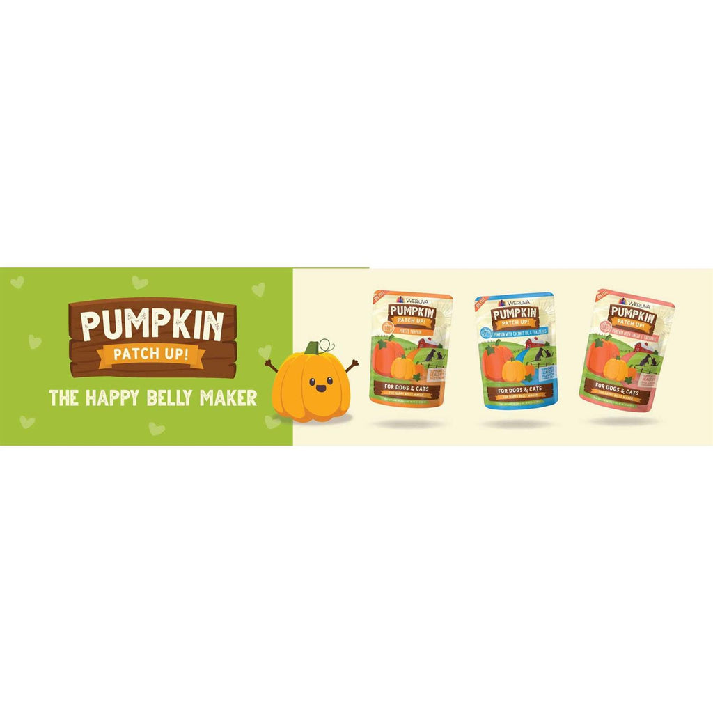 Pumpkin Patch Up B2269