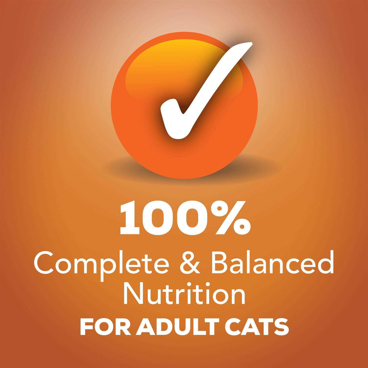 Wet Cat Food Variety Pack U407