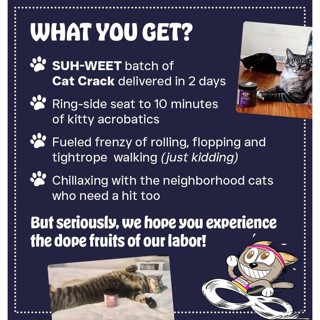 Catnip Blend K904