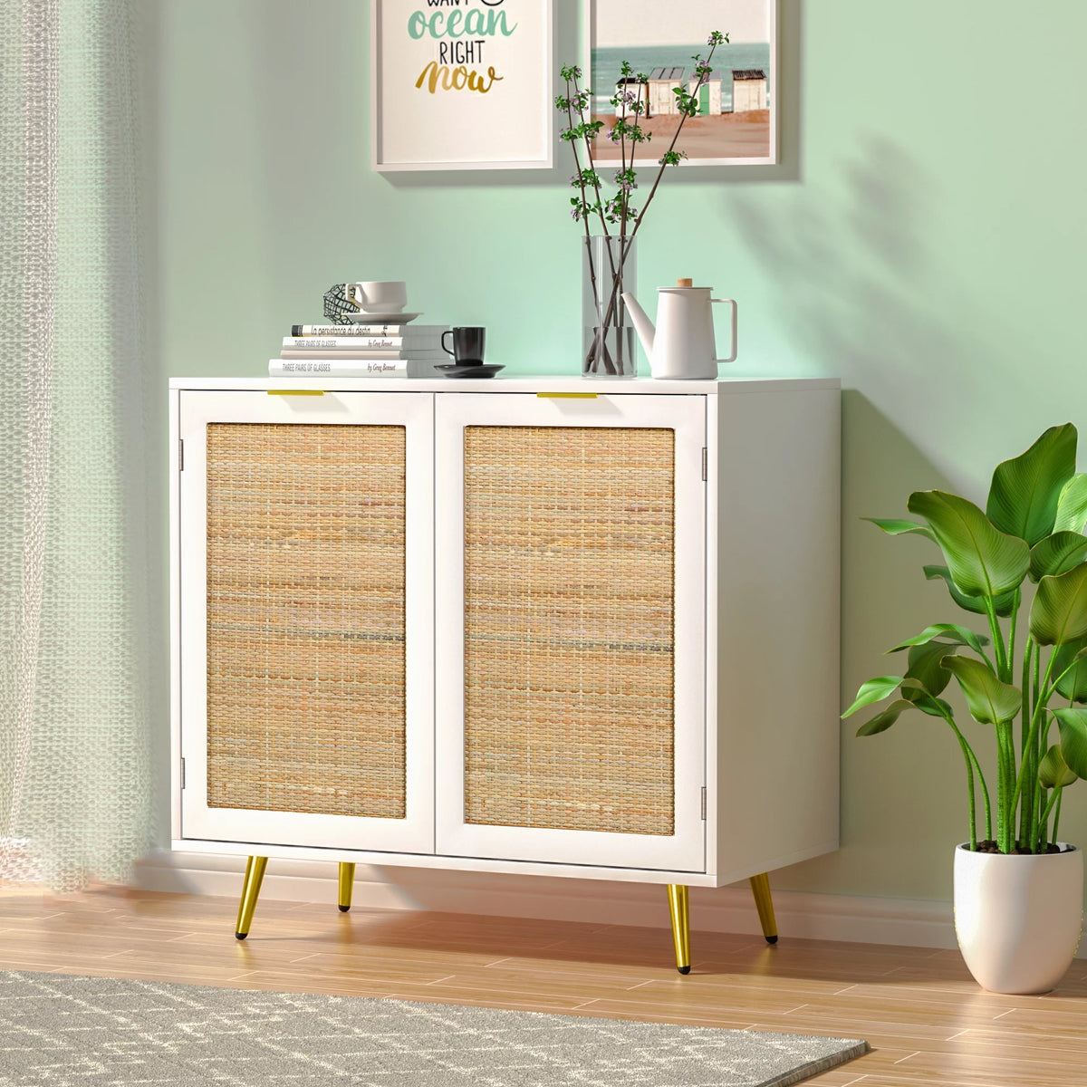 Black 2 Rattan Door Accent Cabinet D652