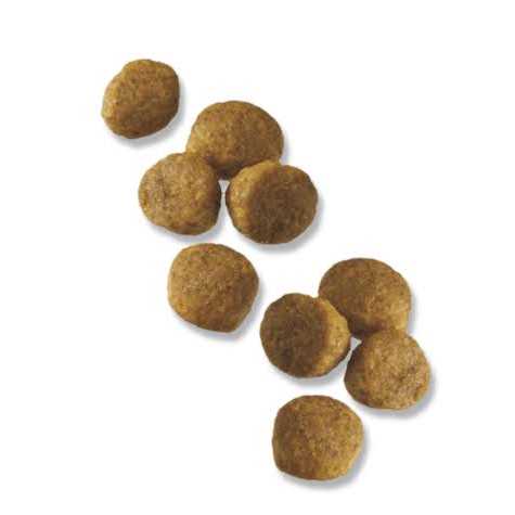 Chicken & Rice Puppy Small Breed Dry Dog Food T3476