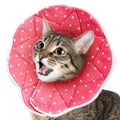 Soft Collar for Small Dogs & Cats O3390