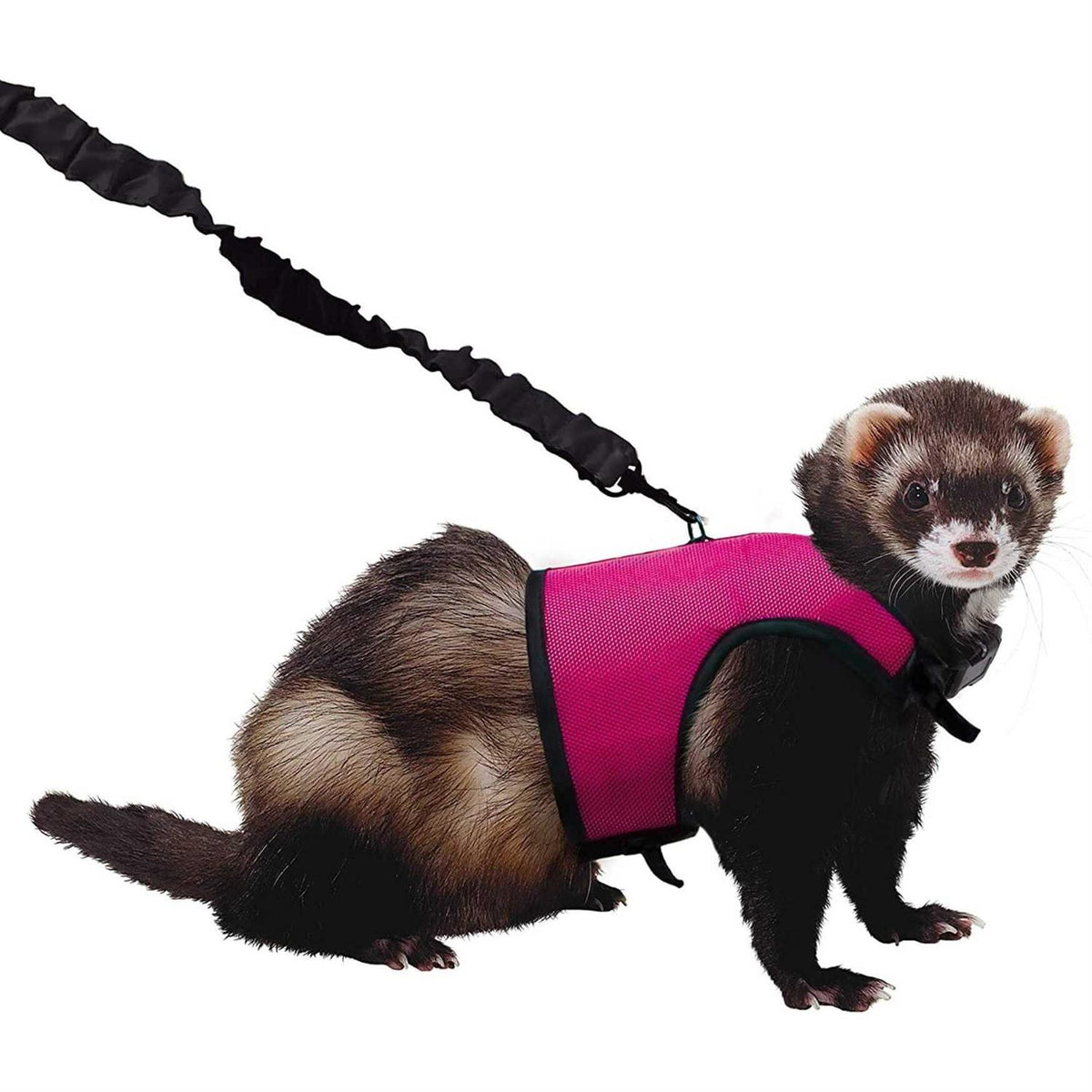 Comfort Harness Stretchy Leash X361544