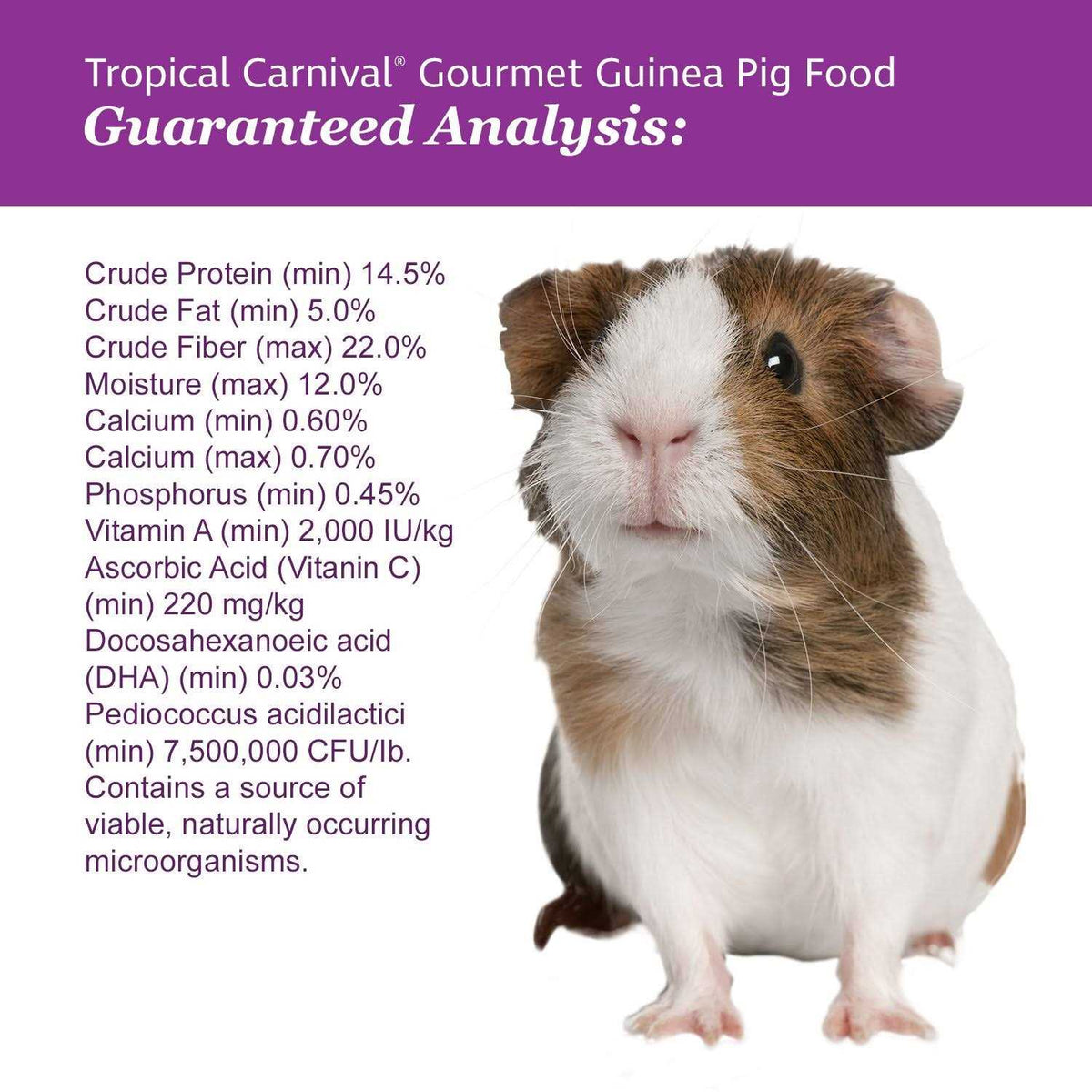 Guinea Pig Food Z11513