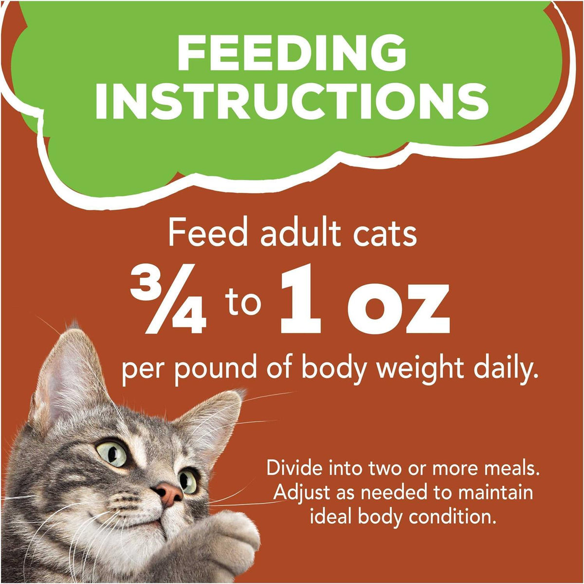 Wet Cat Food X4701