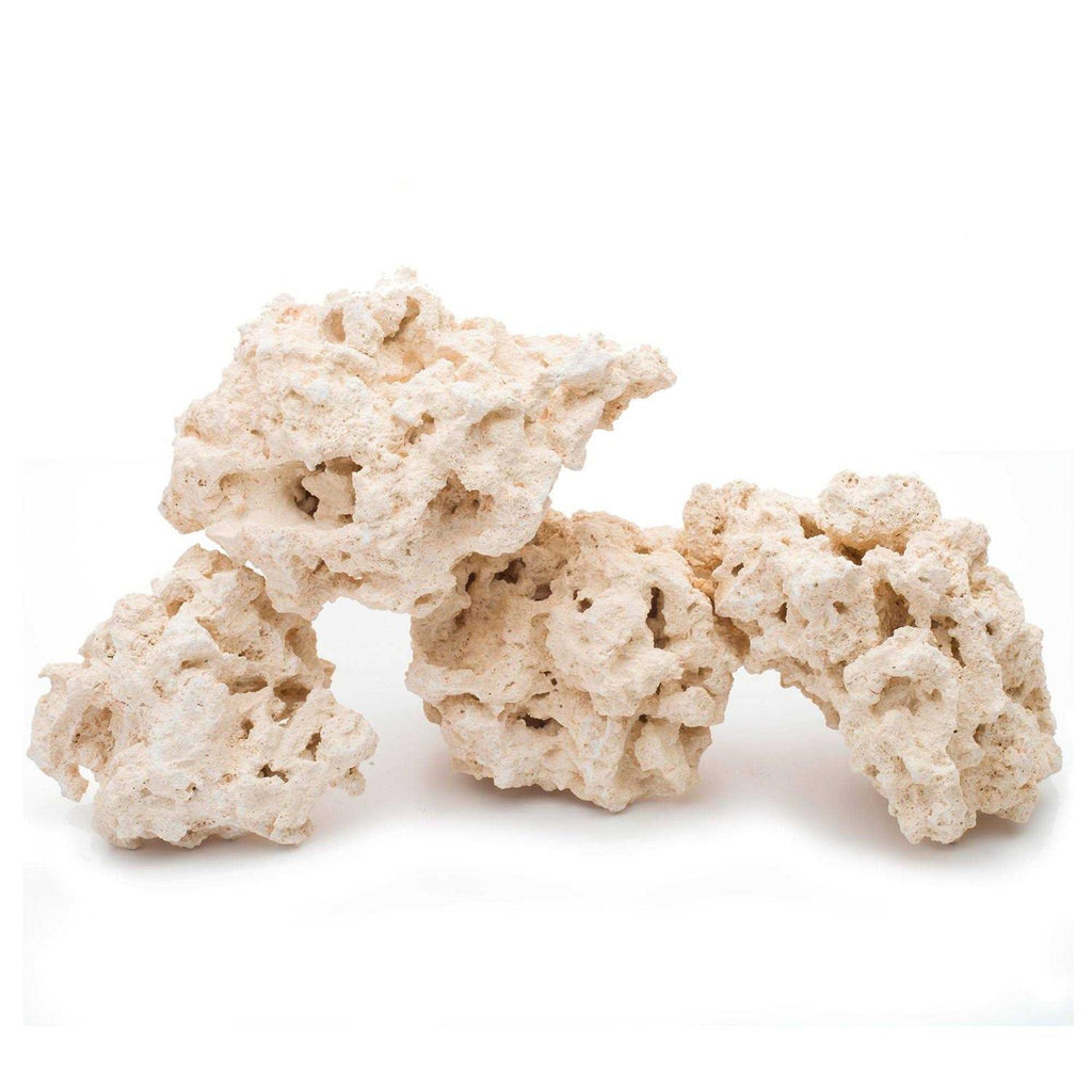 South Sea Base Rock B159066