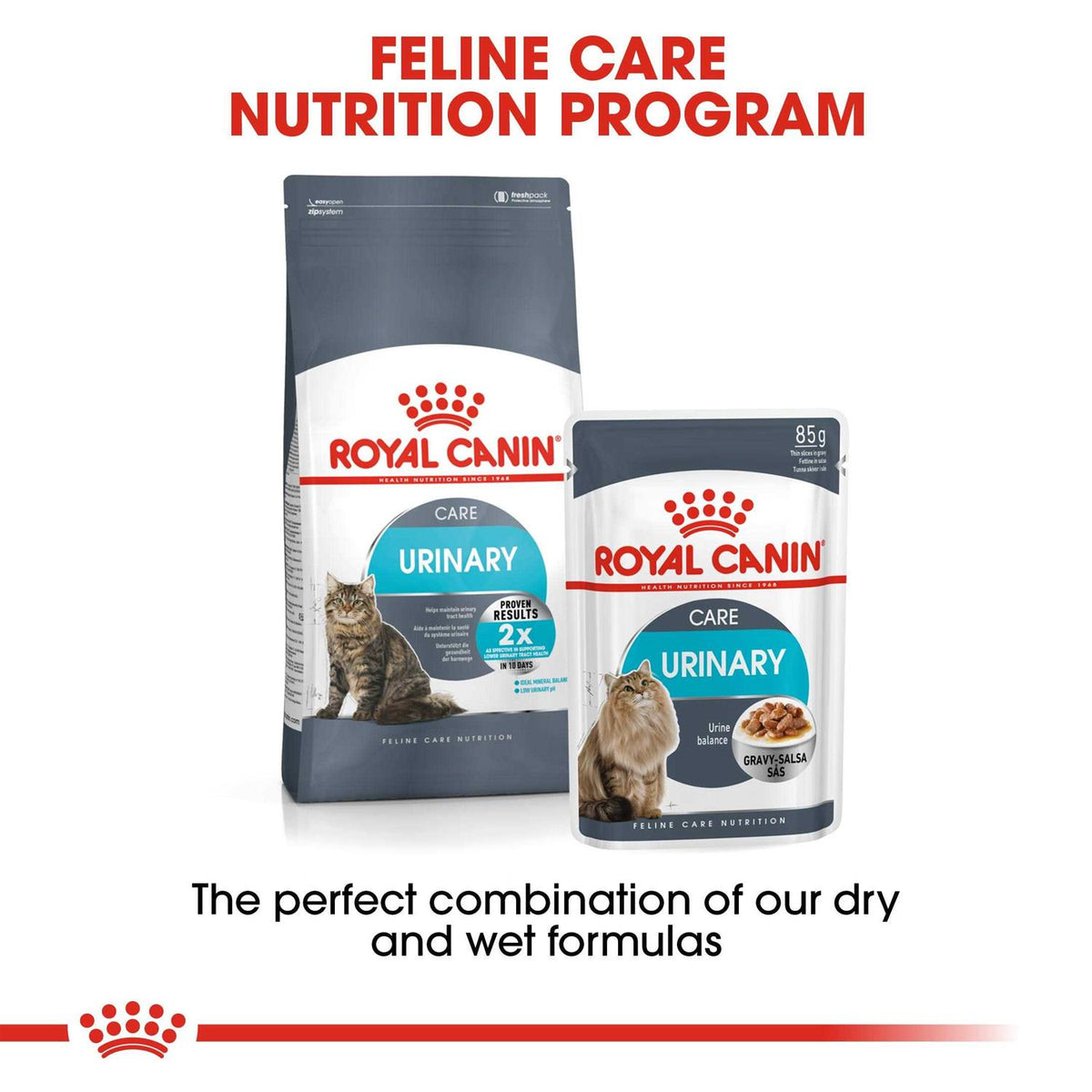 Wet Cat Food O36934