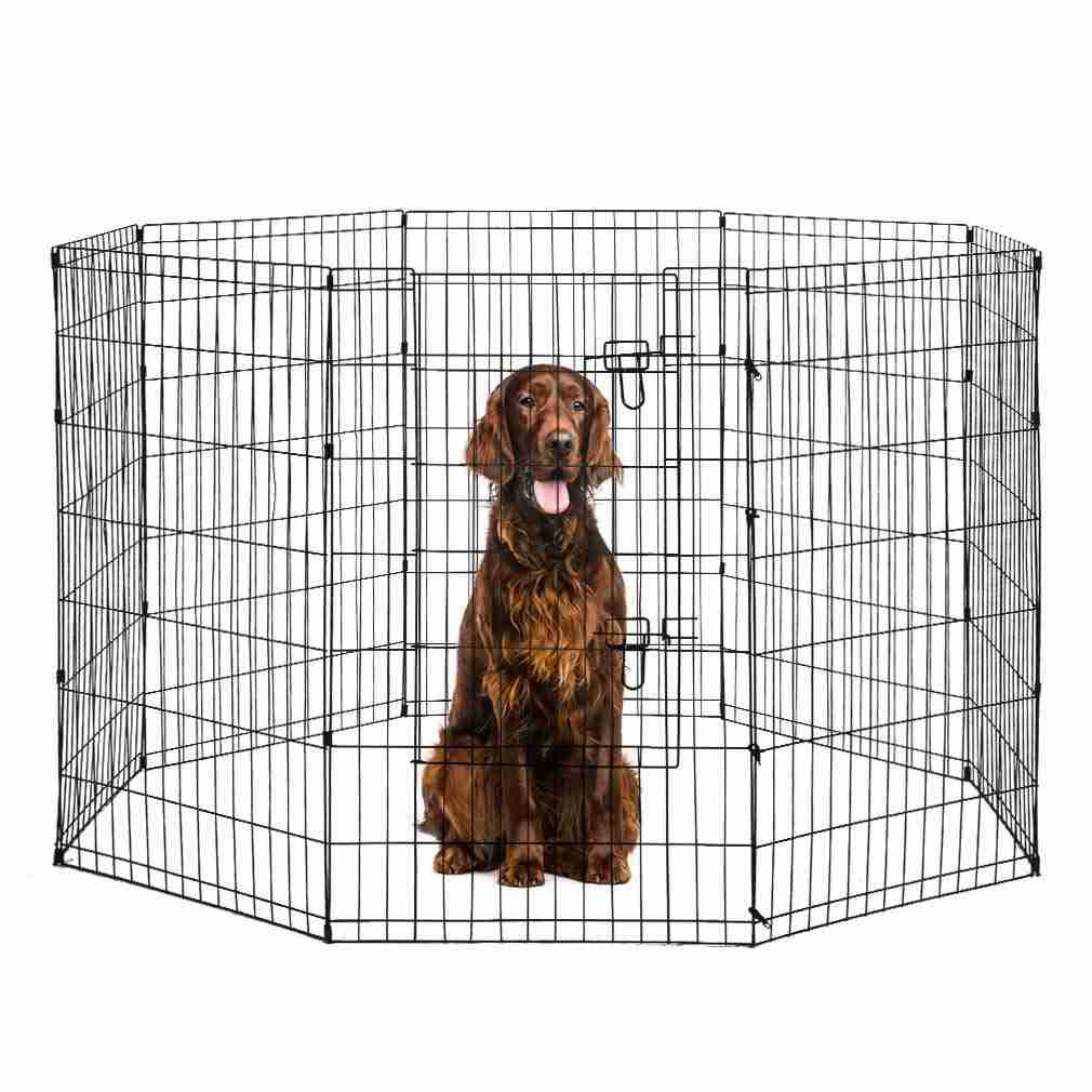 8 Panel 42-Inch Black Dog Playpen K127683