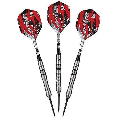 95% Tungsten Steel Tip Darts with Storage Case, 22 Grams O682