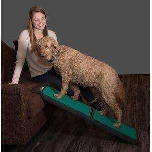 Bi-Fold Travel Lite Pet Ramp C1854