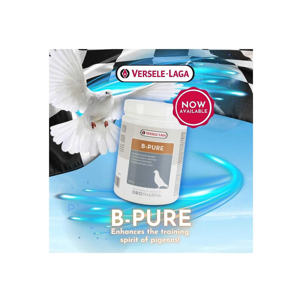 B-Pure W9155