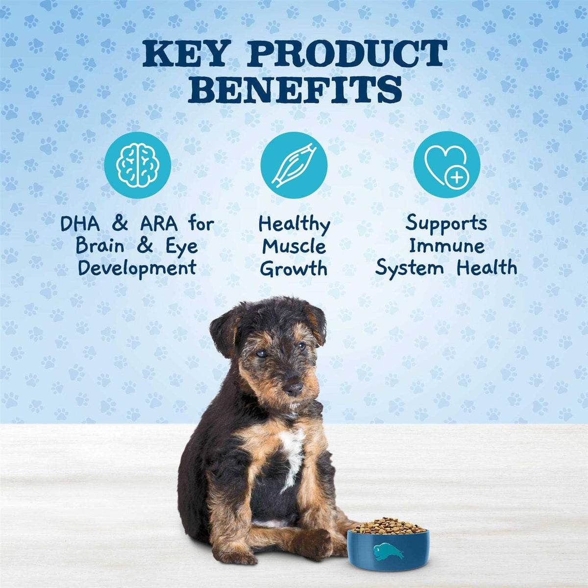 Natural Puppy Dry Dog Food Chicken and Brown Rice O52581