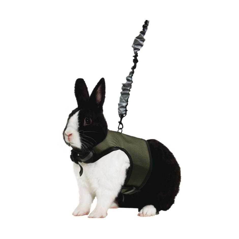 Comfort Harness Stretchy Leash X361544