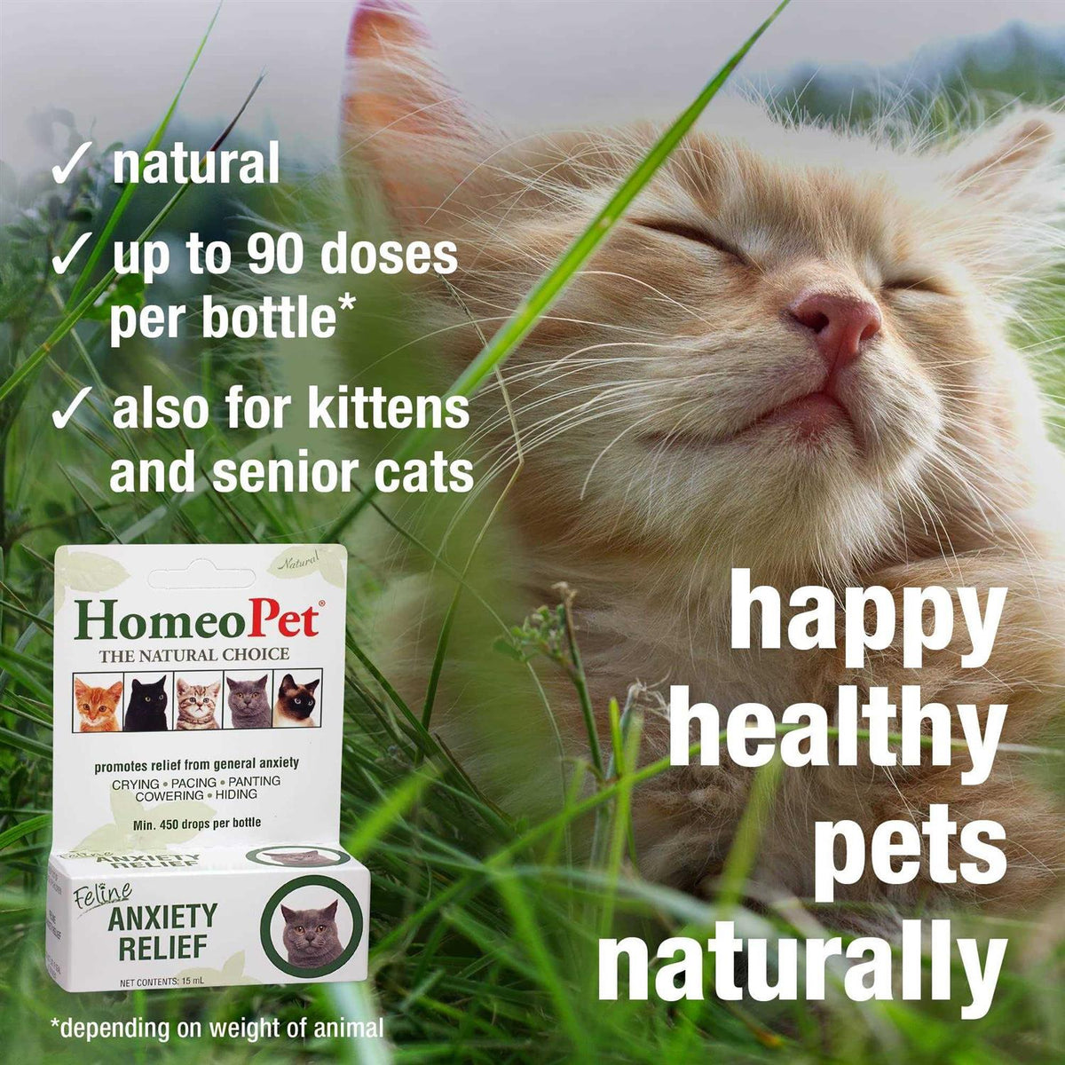 Feline Anxiety Relief S137828