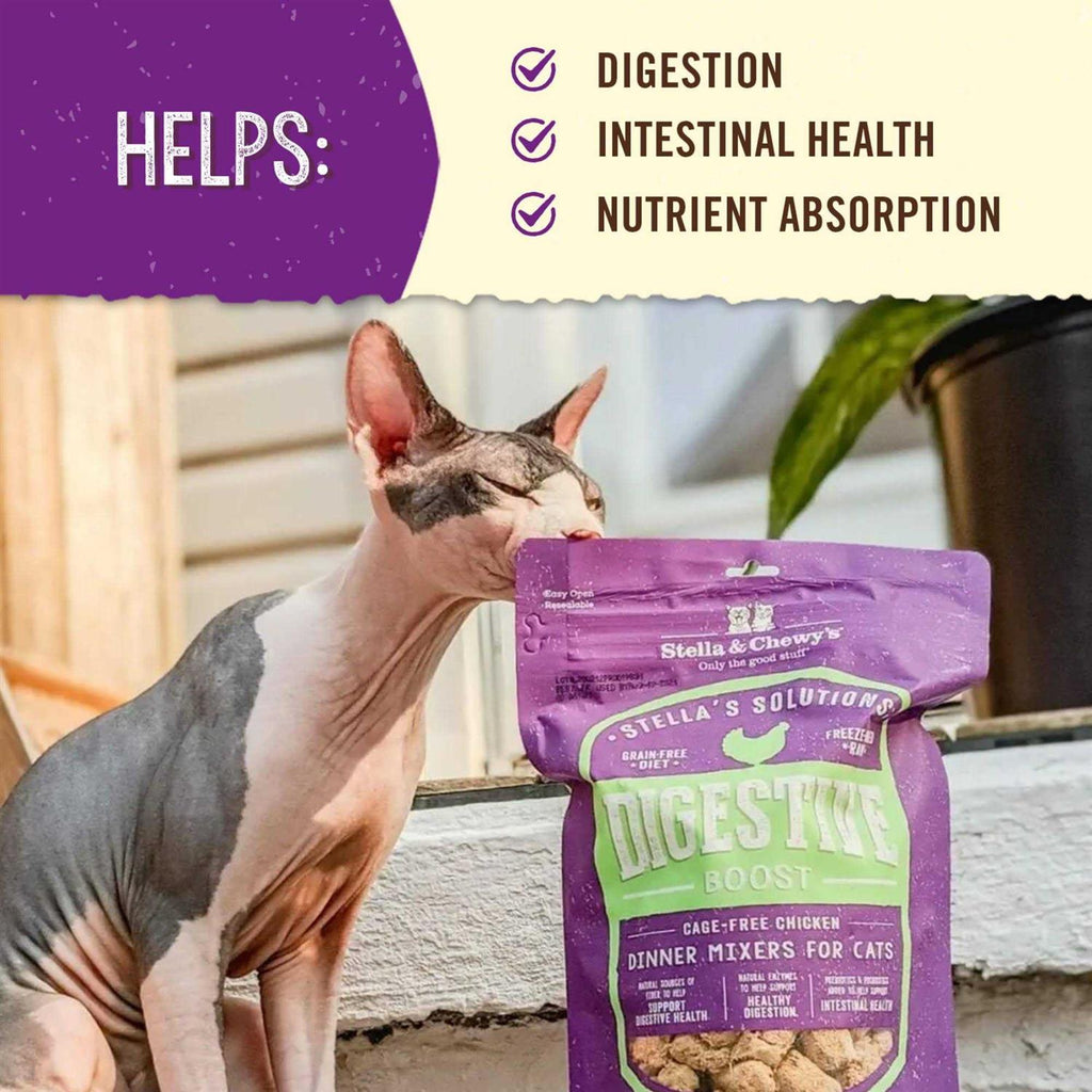 Cat Digestive Boost A677117