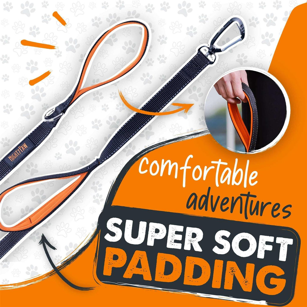 Dual Handle Dog Leash H69176