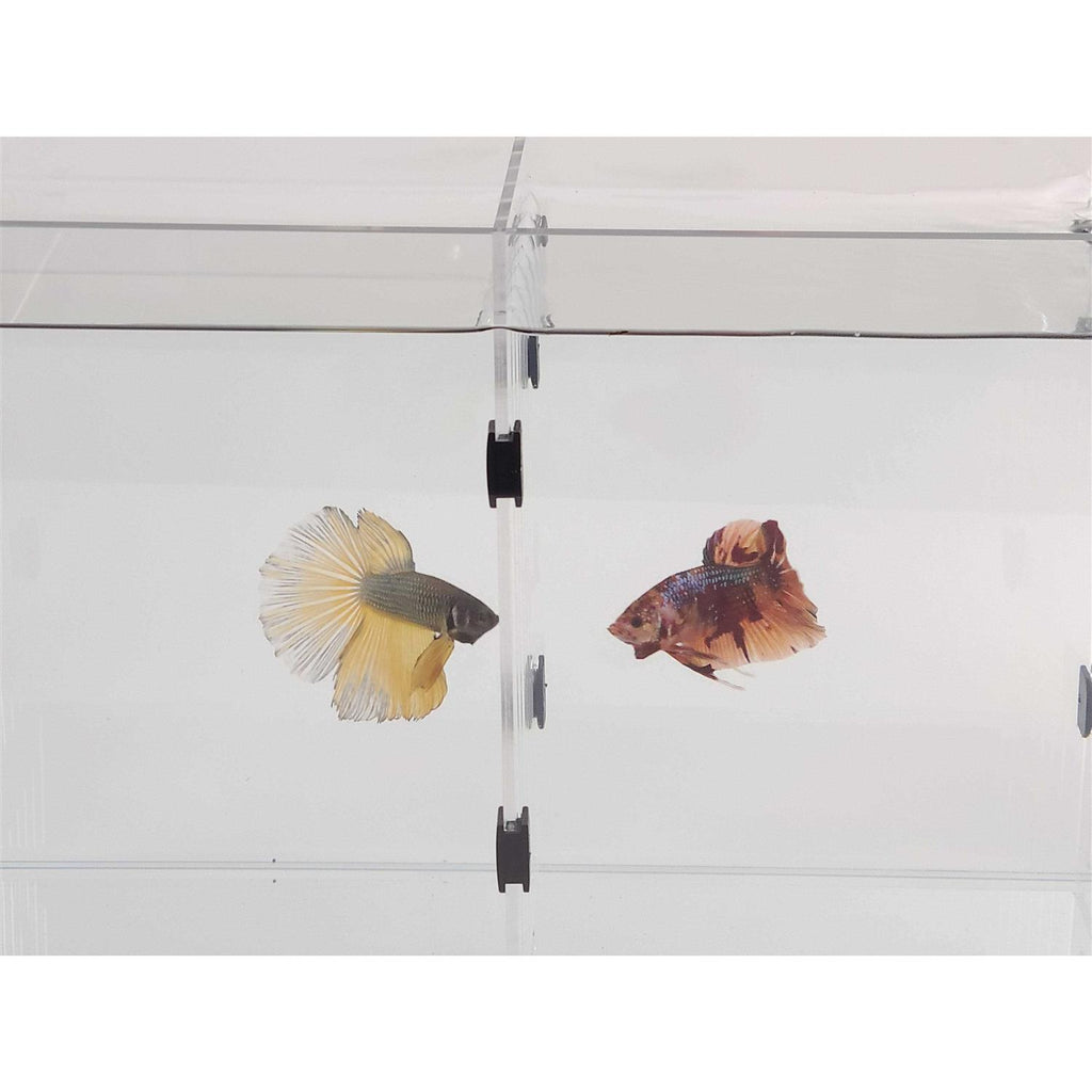 Aquarium P534