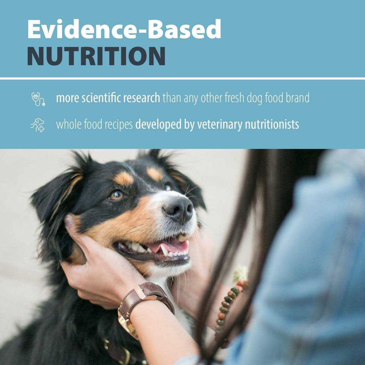 Frozen Fresh Dog Food F89788