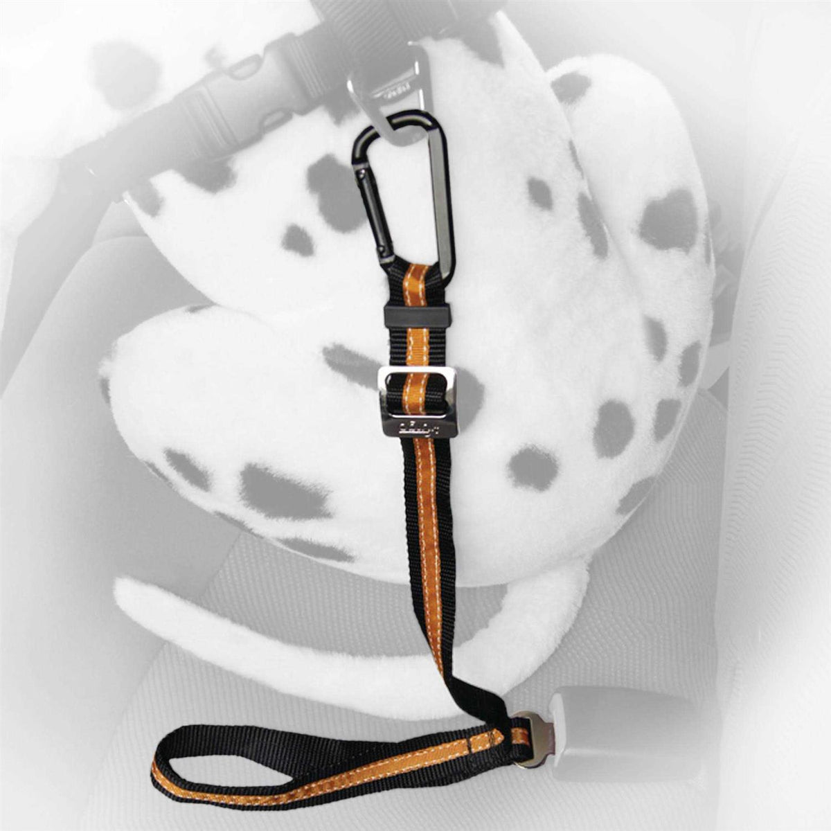 Direct to Seatbelt Tether O739850
