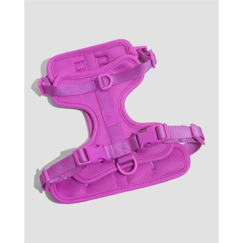 Dog Harness R349708