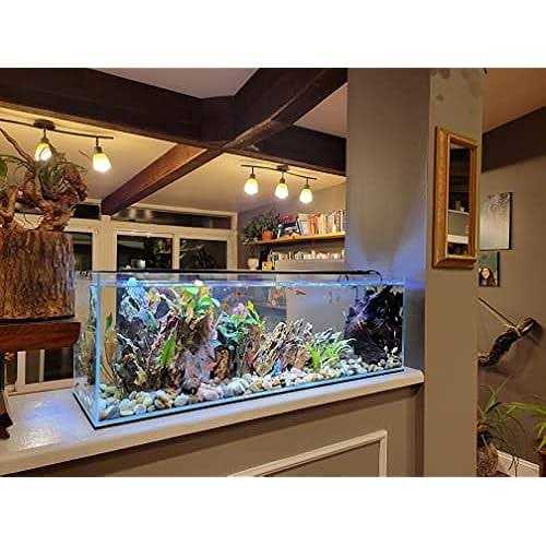 Aquarium P534