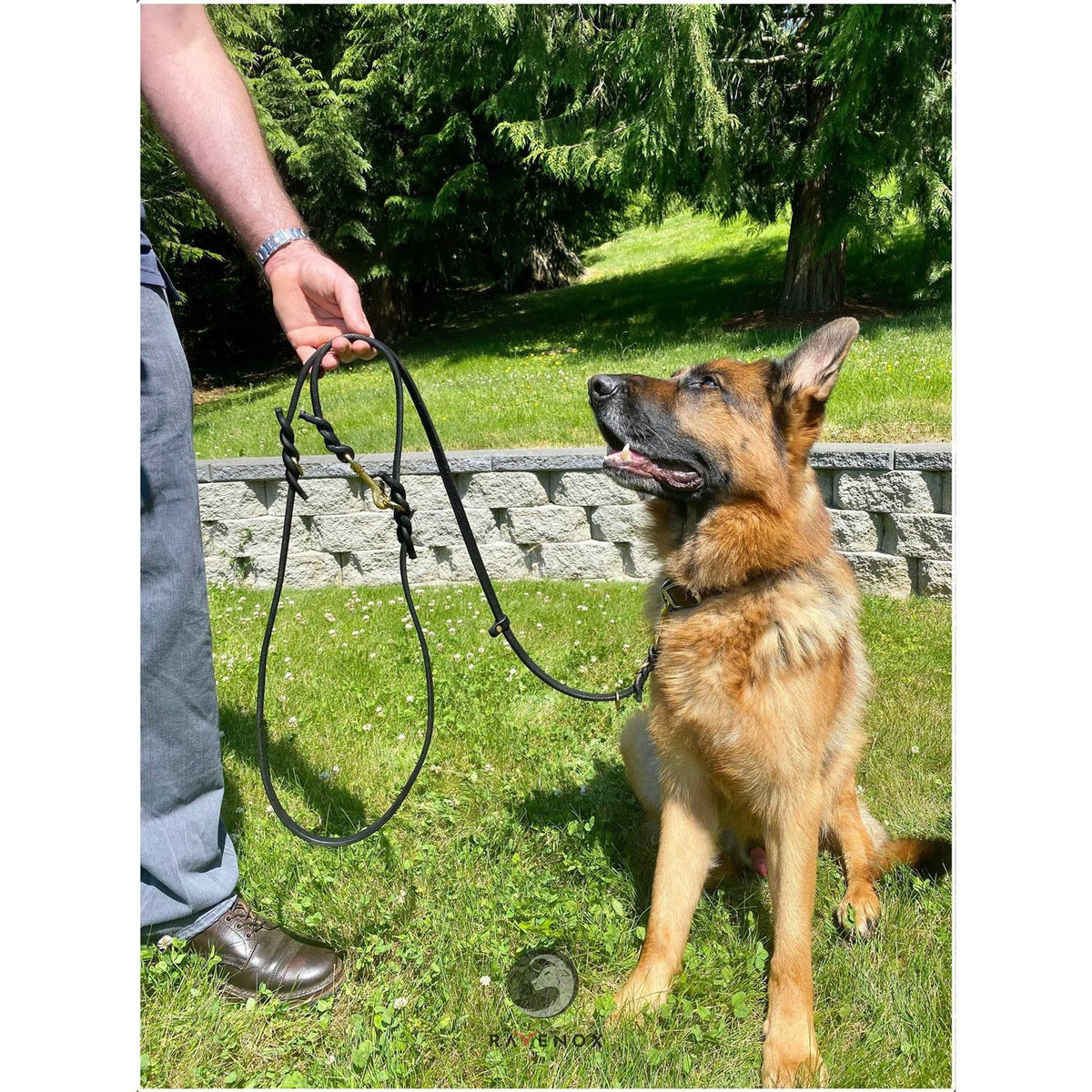 Multifunctional Leather Dog Leash X81620