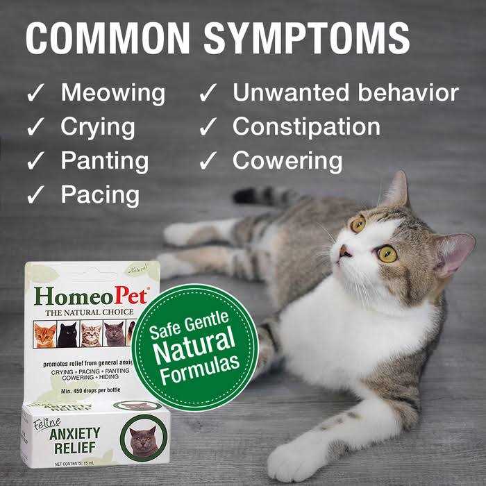Feline Anxiety Relief S137828
