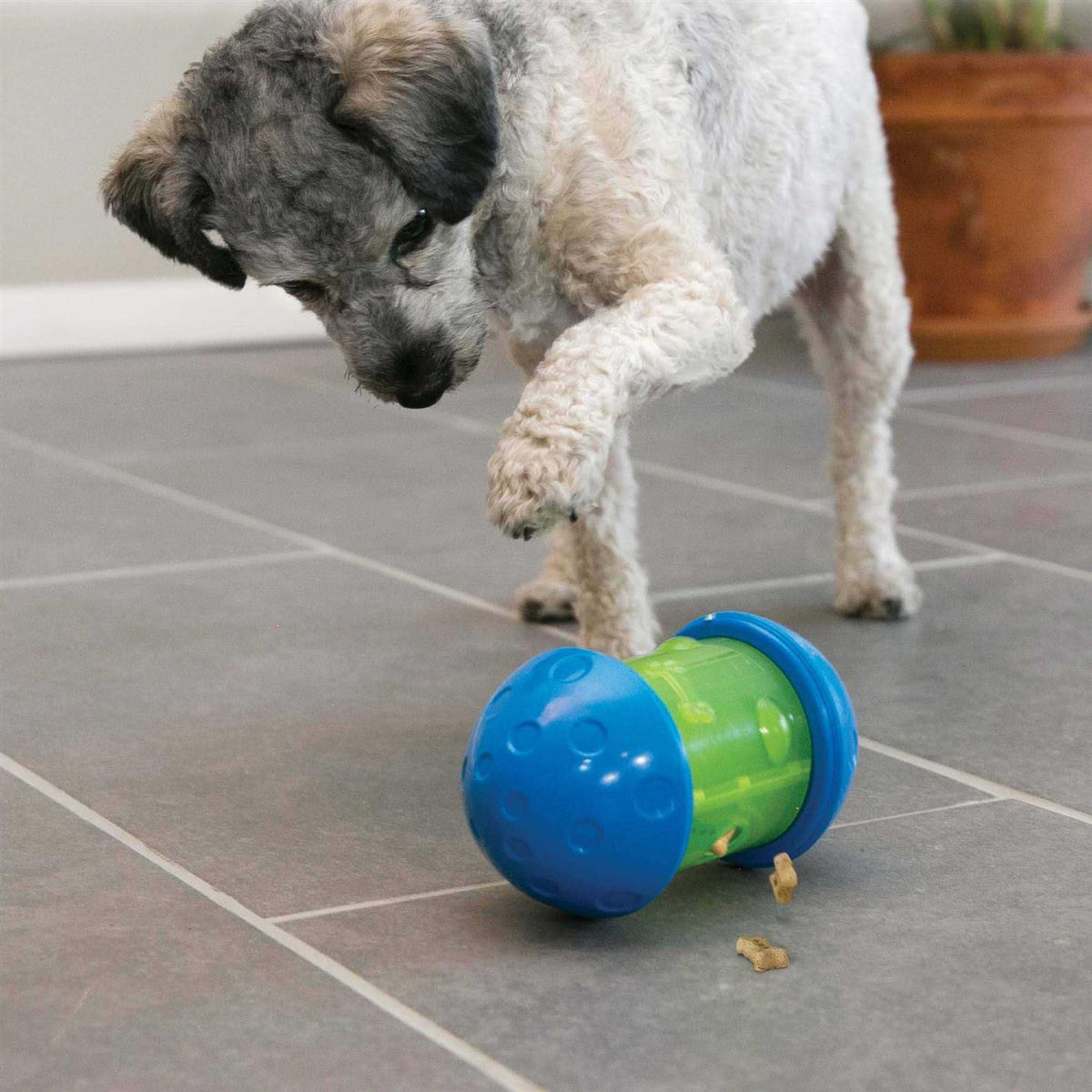 Dog Toy B626132