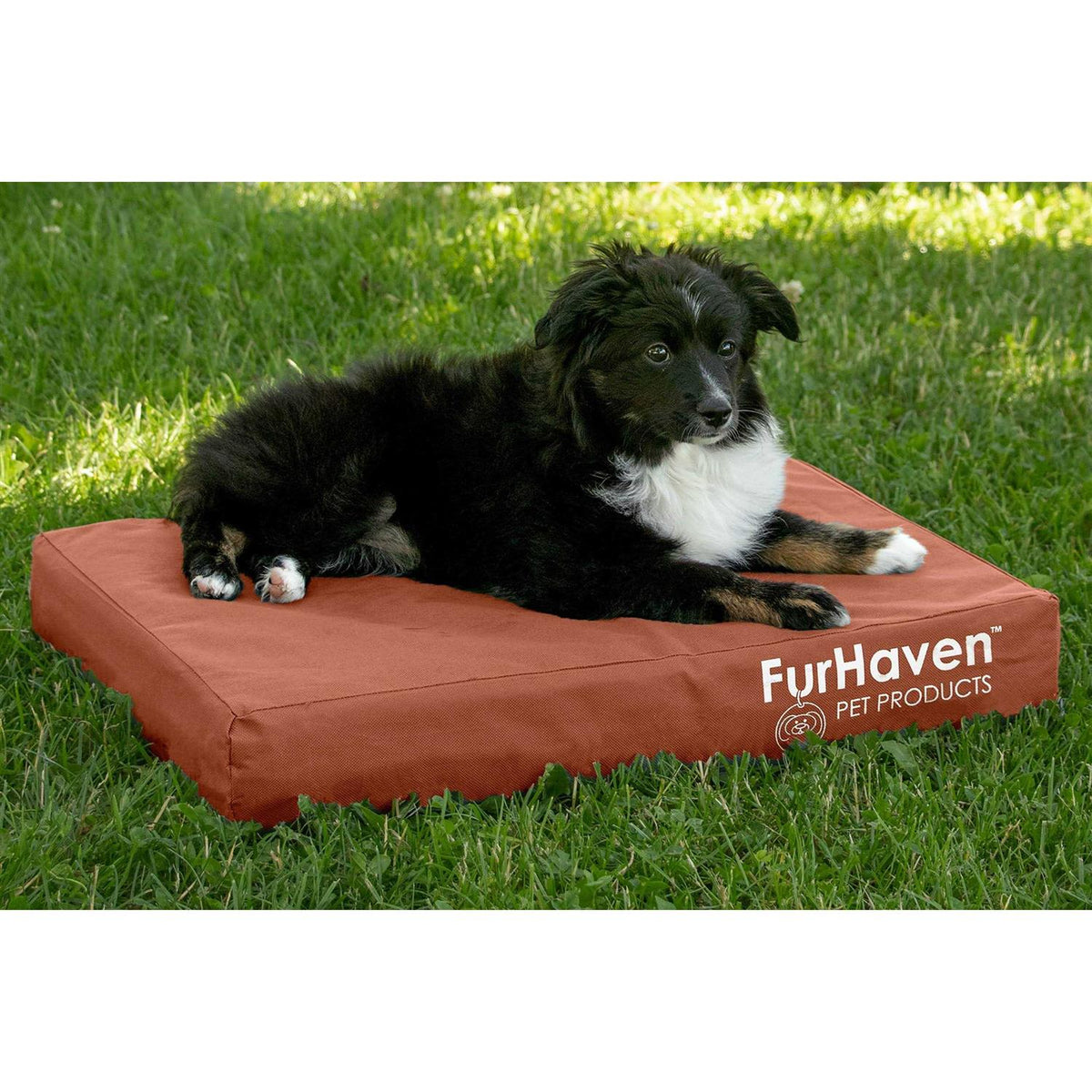 Dog Bed I79393