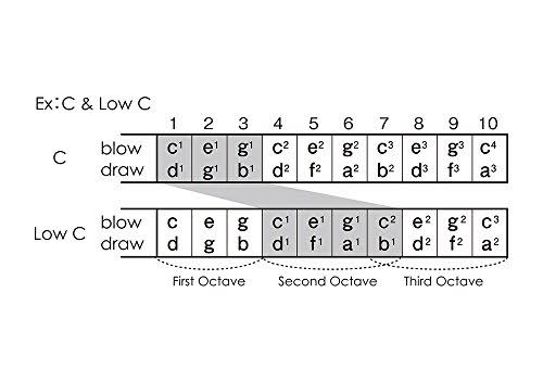 10-Hole Harmonica P432827
