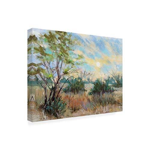 Home Goods I993678